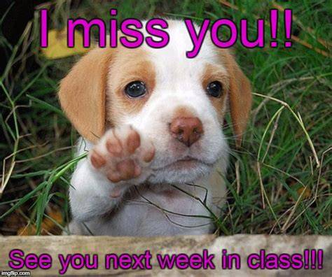 Miss You Meme Dog