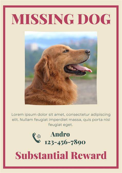 Missing Dog Flyers Template - Great Research