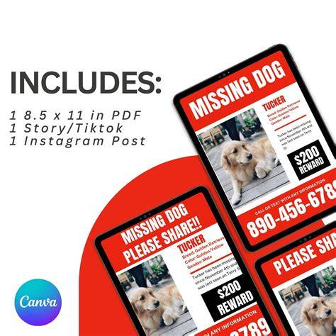 Missing Dog Posts