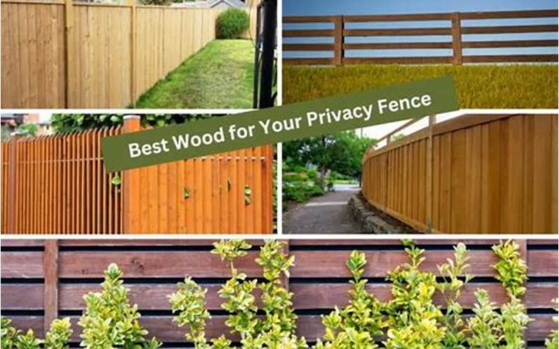 Mississippi Privacy Fence: The Ultimate Guide