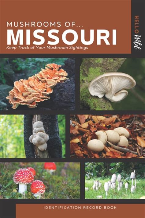 Missouri Mushrooms Identification Chart