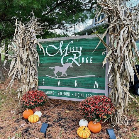 Misty Ridge Tree Farm