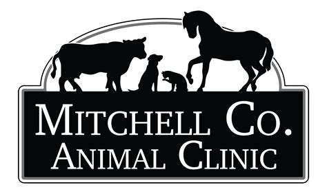 Top-Rated Veterinary Care at Mitchell County Animal Clinic: Keeping Your Furry Friends Healthy and Happy!