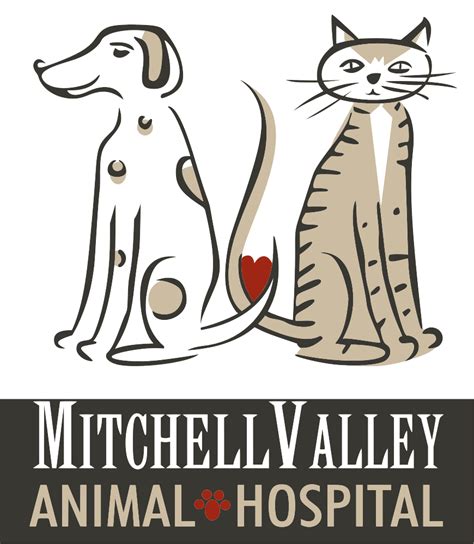 Exceptional Veterinary Care at Mitchell Valley Animal Hospital: Your Trusted Partner in Pet Wellness