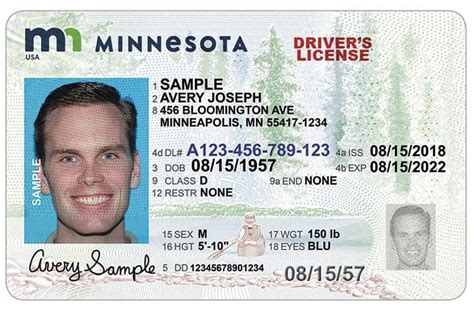 Mn Drivers License Status