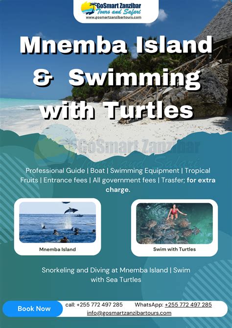 Mnemba Island Turtles