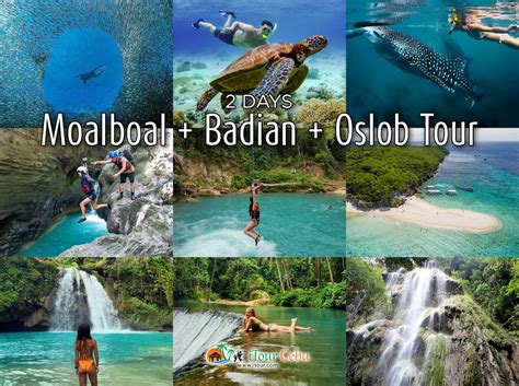Moalboal Tour Operators