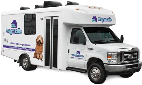 Mobile Pet Grooming Richmond Va: The Convenience Of Grooming Your Dog
At Home