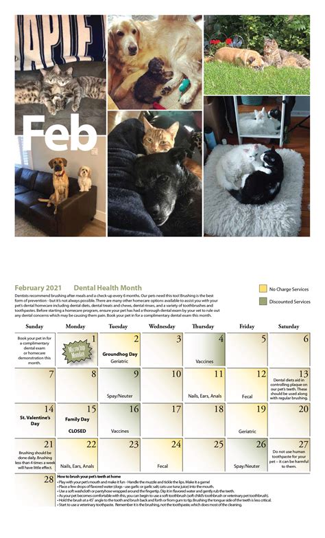 Mobile Pet Vet Calendar