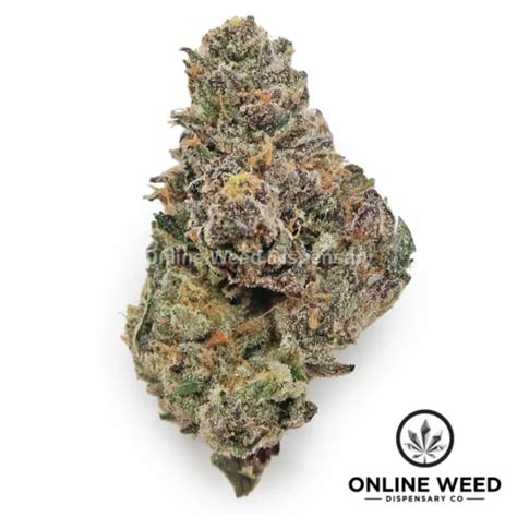 Mochi Exotic Weed