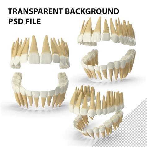 Download Mockup Dentes Valor Yellowimages