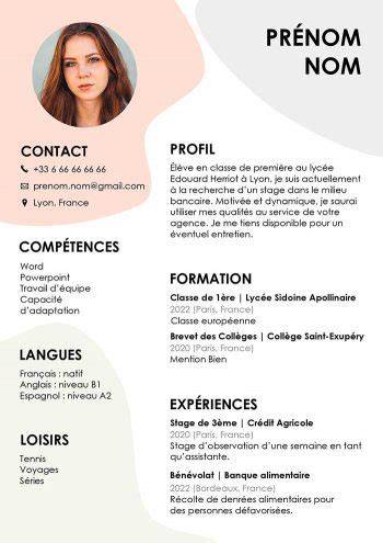 Exemple de cv lycéen sans expérience professionnelle laboitecv.fr