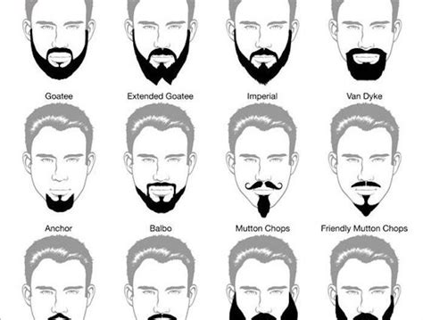 Modele De Barbe