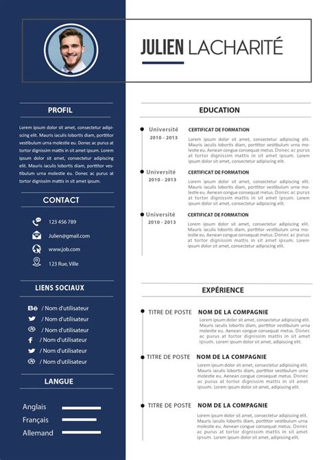 Modele De Cv Moderne