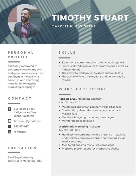 Modern Resume Template, Professional Resume Template Word
