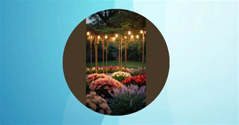 Modern Marvels Contemporary Rose Varieties