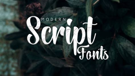Modern Script Fonts