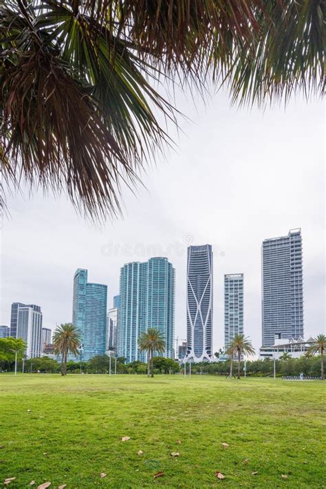 Modern Skyline Views