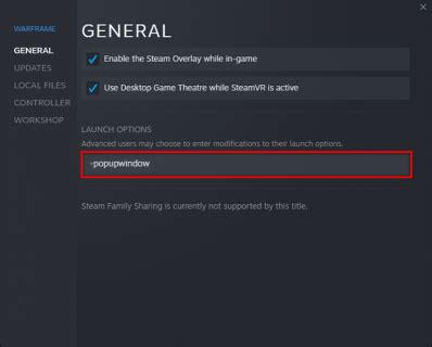 Modify the Launch Options of Your Game