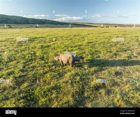 Modimolle Nature Reserve