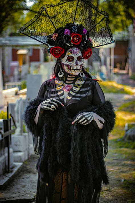 Moises for Girls that Exude Elegance and Luxury: Elevate Your Nursery Decor with Our Delightful Designs