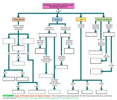 Moist Heat Applications To Control Microorganisms Concept Map