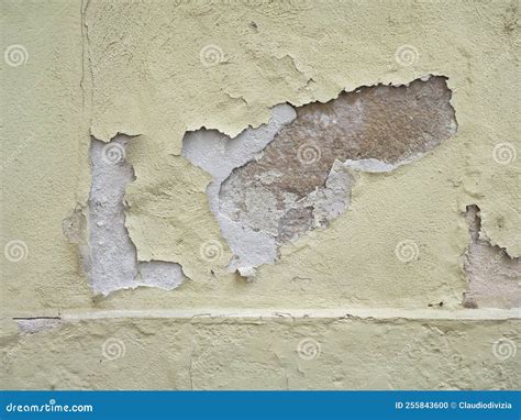 Moisture and Dampness