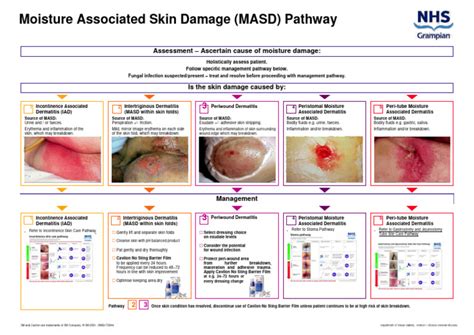 Unlocking the Secrets of Moisture-Associated Skin Damage Pathway: A Comprehensive Guide to Healthy Skin Hydration