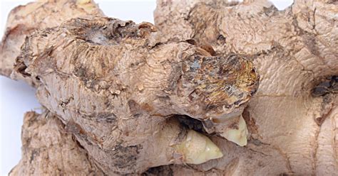 Mold On Ginger Root