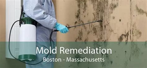 Mold Remediation Boston