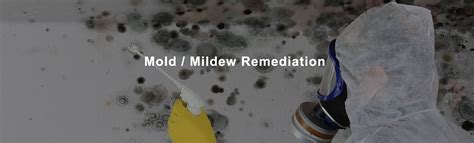 Mold Remediation Ct