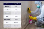 Mold Removal Prices