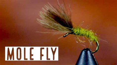 Mole Fly Pattern