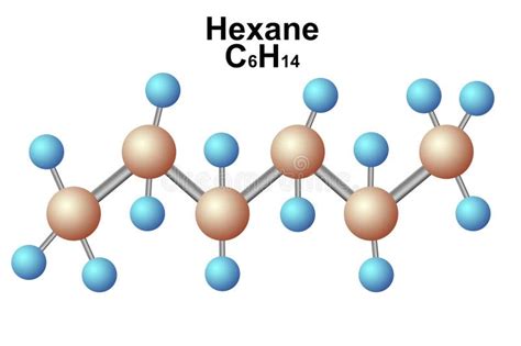 Molecular Geometry of Hexane