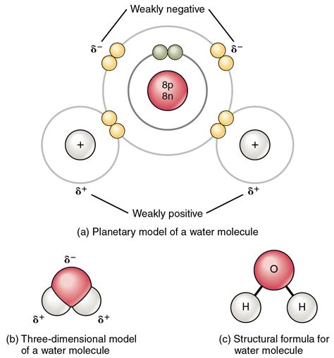 Molecules with single bonds