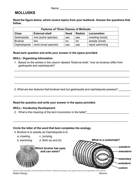 Mollusk Review Worksheet