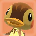 Molly the Adorable Duck: Everything You Need to Know about this Beloved Animal Crossing Pocket Camp Villager