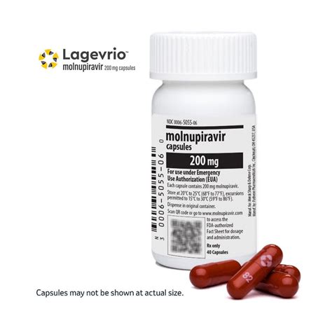 Molnupiravir & Pregnancy: Risks You Need to Know.