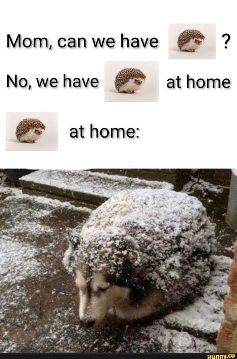 Mom We Have At Home Meme Template