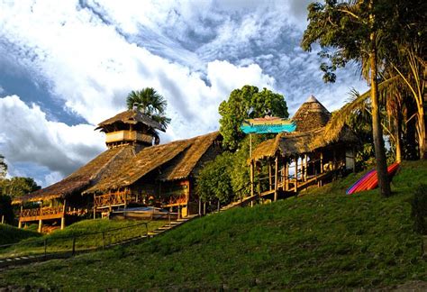 Momon Village Amazon