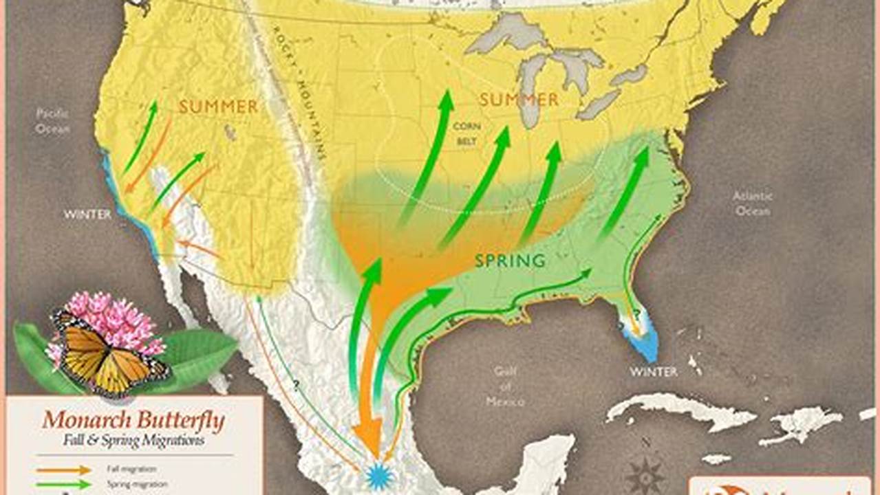 Monarch Migration Map Live 2024 Dates