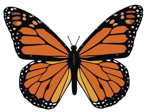 Monarch Butterfly Printable