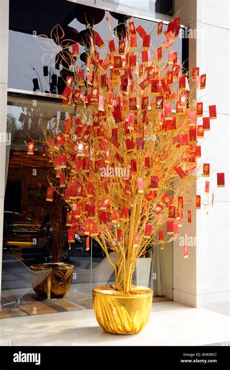 Money Tree Chinese New Year