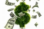 Money Tree Commercial