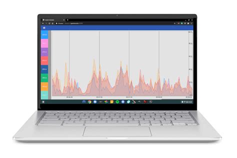 Monitor System Performance in a Chromebook