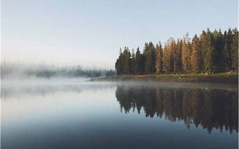 Monitoring Water Temperature In Lake Sammamish