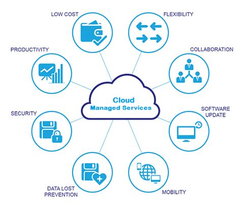Monitoring Software for Cloud Service Providers