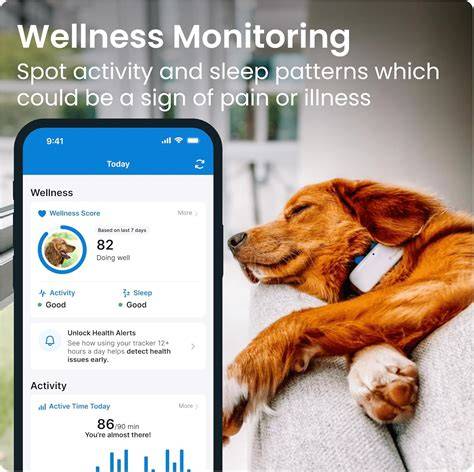 Monitoring Your Dog Post-Ingestion