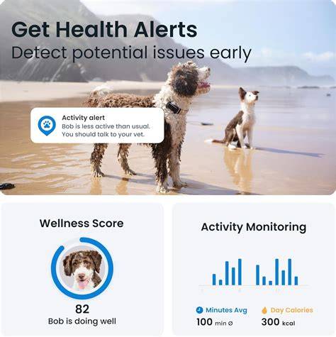 Monitoring Your Dog Signs of Trouble
