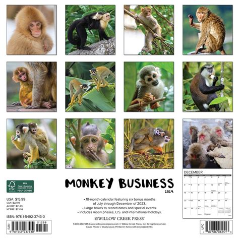 Monkey Calendar 2024